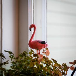 Flamingo stick dekoration växter
